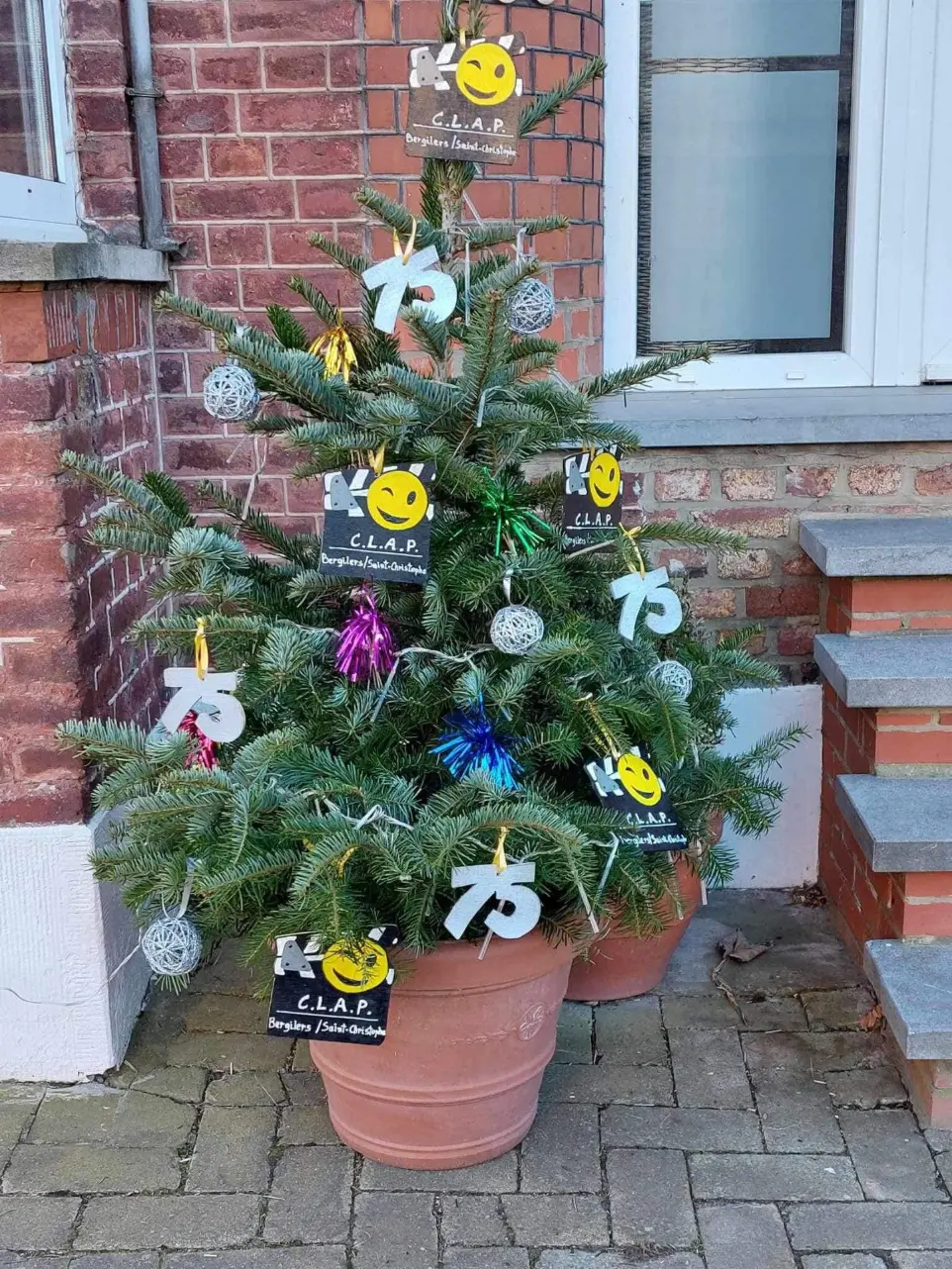 Le concours de sapin de Bergilers